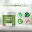 reds-kitchen-sink-power-greens-powder----3.jpg