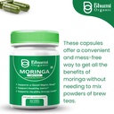 moringa-powder-capsules---800mg-of-pure--4.jpg