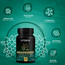 ambrosial-grapeseed-capsules-pack-of-1-1-4.jpg