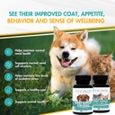 aminavast-small-dogs-cat-kidney-support--3.jpg