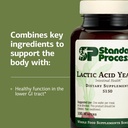 standard-process-lactic-acid-yeast---die-4.jpg
