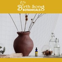 birth-song-botanicals-herbal-ear-oil-nat-6.jpg
