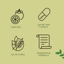 garcinia-extract-500mg---60-vegetarian-c-6.jpg