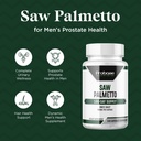 probase-nutrition-saw-palmetto-extract-p-4.jpg