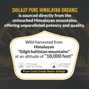 himalayan-shilajit-resin-high-potency-pu-6.jpg