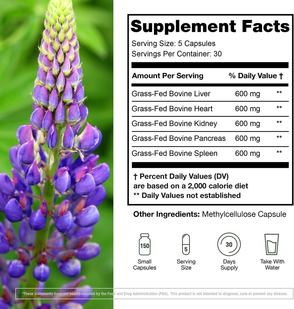 grass-fed-beef-organ-supplement---suppor-2.jpg