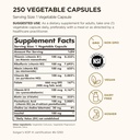 solgar-b-complex-100-250-vegetable-capsu-2.jpg
