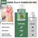 1200-mg-thunder-god-vine-root-extract-20-6.jpg
