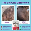 dinovite-3-in-1-probiotic-for-medium-dog-3.jpg
