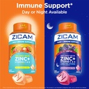 zicam-sleep-immune-support-zinc-gummy-su-5.jpg