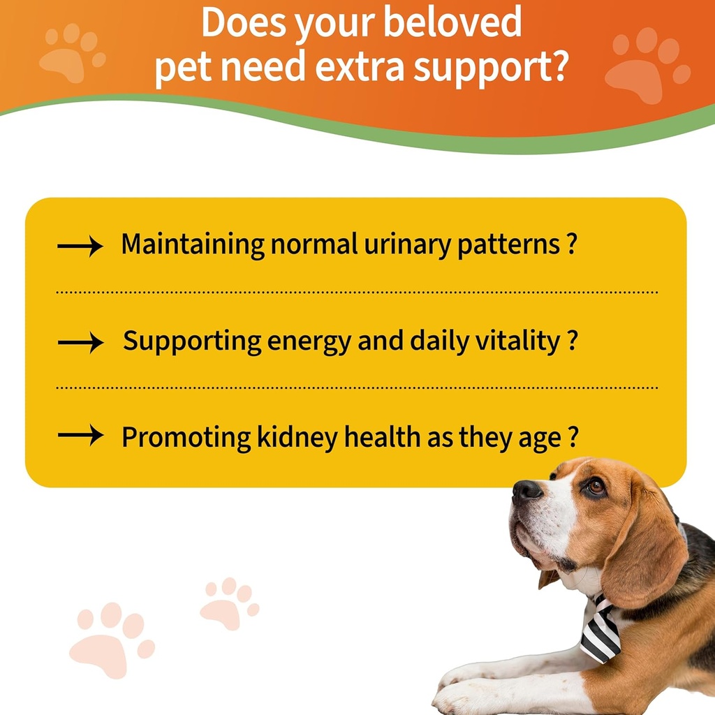 6-in-1-kidney-support-for-dogs-cats-prom-2.jpg