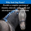su-per-jug-paste-for-performance-horses--3.jpg