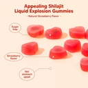 shilajit-gummies-sugar-free-gummies-500--2.jpg