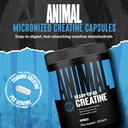 animal-micronized-creatine-monohydrate-c-2.jpg