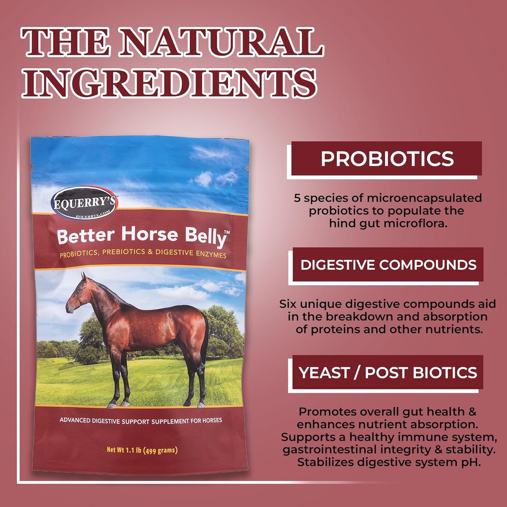 equerrys-better-horse-belly---horse-supp-3.jpg
