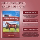 equerrys-better-horse-belly---horse-supp-3.jpg