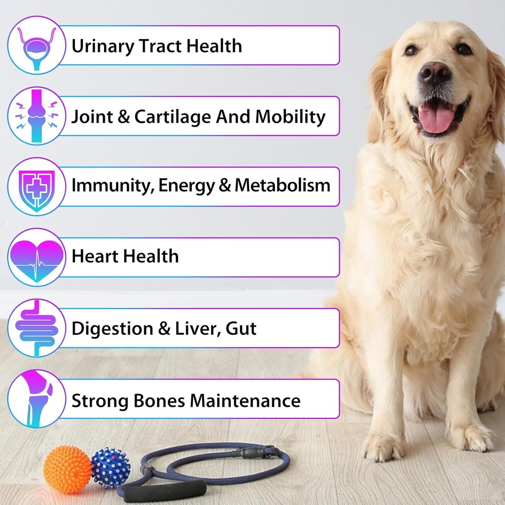 15-in-1-dog-multivitamin-all-in-one-mult-2.jpg