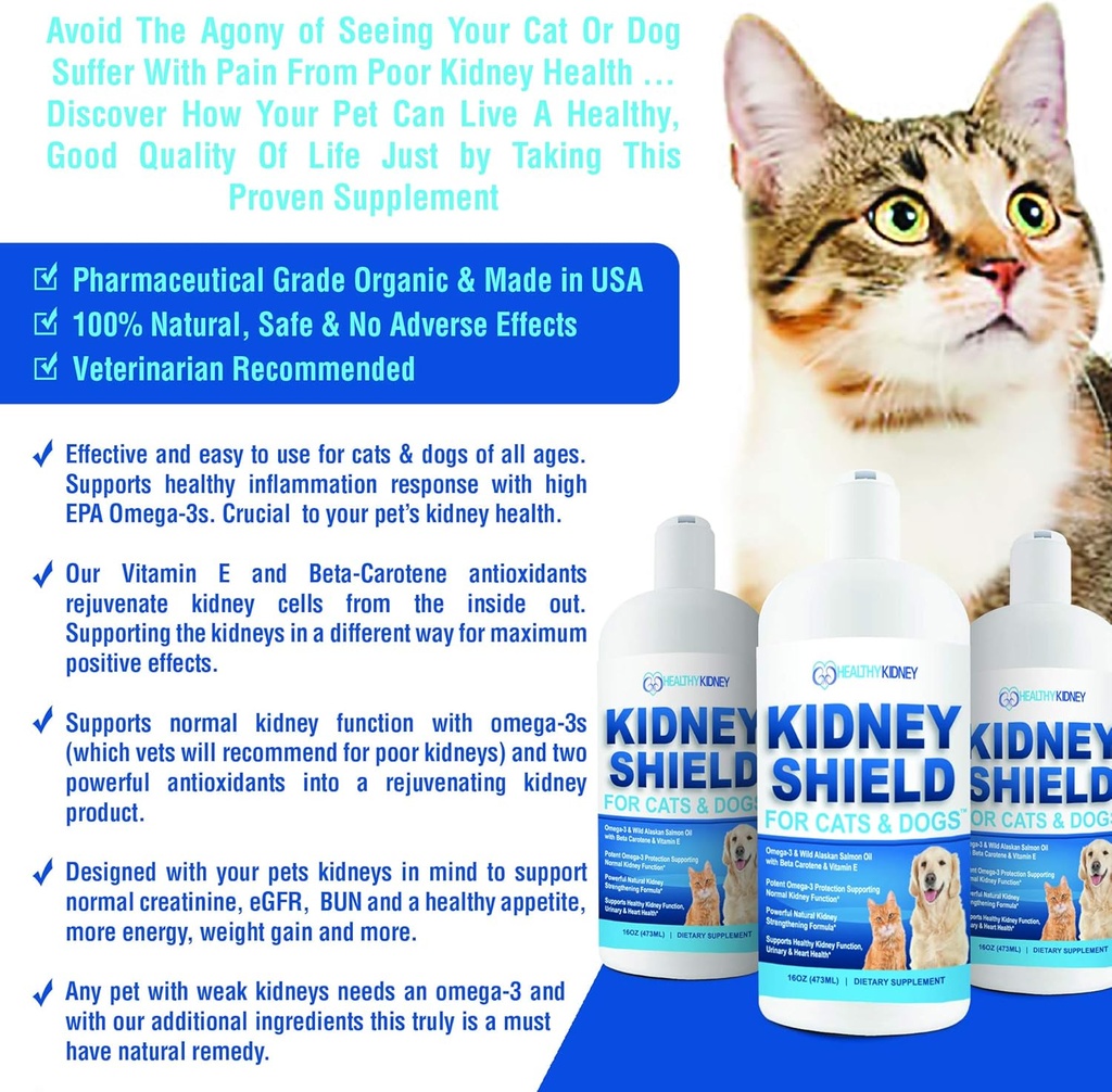 kidney-restore-and-kidney-shield-for-cat-6.jpg