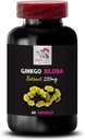 ginkgo-biloba-natural-antioxidant---gink-2.jpg