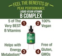 b-complex-liquid-drops-vegan-supplement--2.jpg