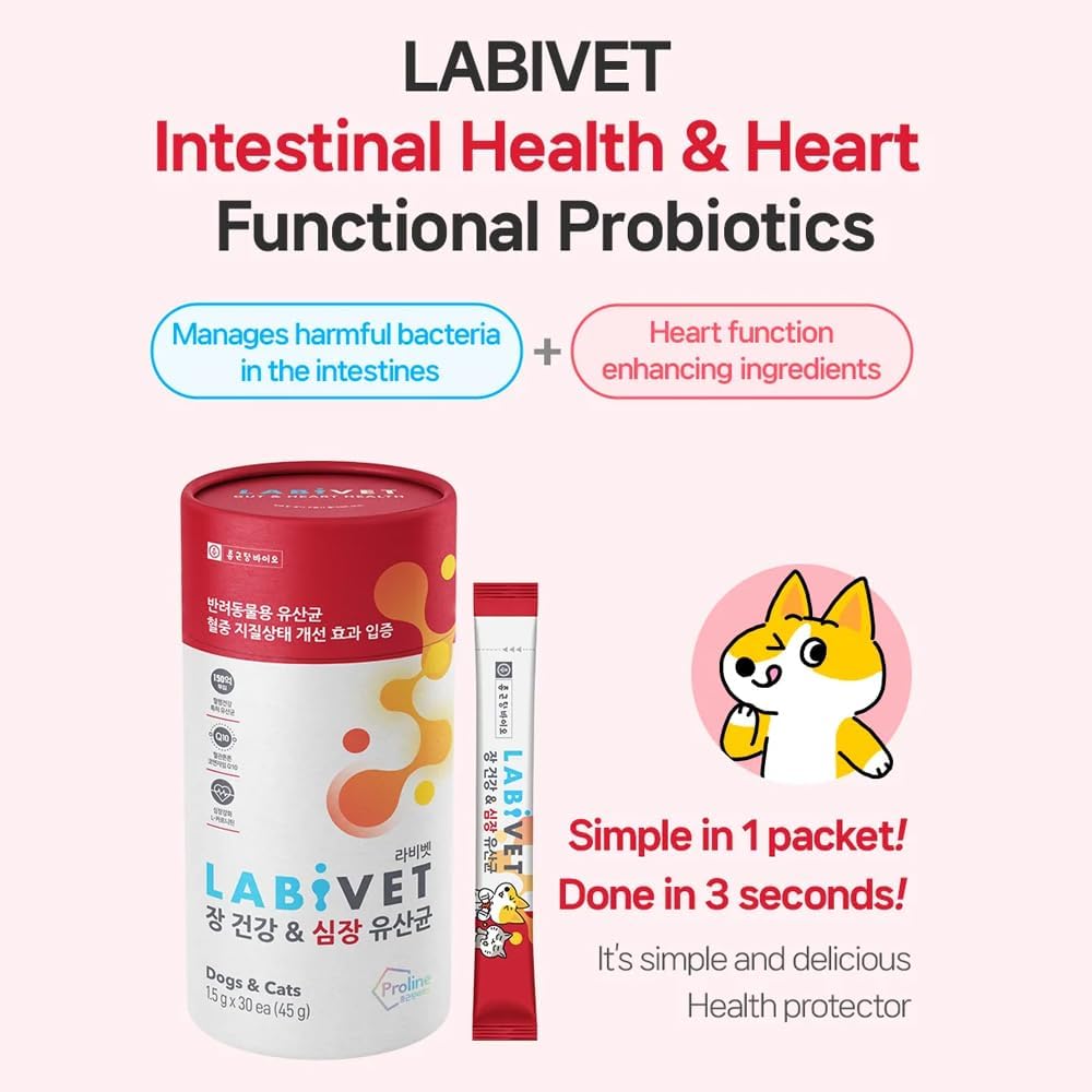 probiotics-for-dogs-and-cats-gut-health--3.jpg