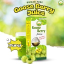 basic-ayurveda-gooseberry-juice-pure-aml-2.jpg