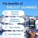 shilajit-for-manwoman-kidhimalayan-gold--4.jpg