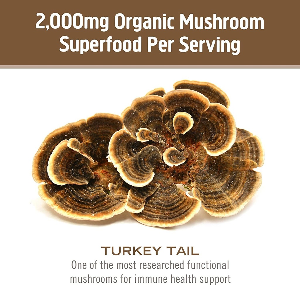 om-mushroom-superfood-turkey-tail-mushro-5.jpg