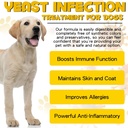 yeast-infection-treatment-for-dogs-natur-2.jpg