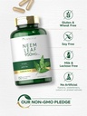carlyle-neem-leaf-950mg-150-powder-capsu-5.jpg