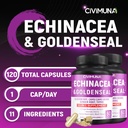 echinacea-capsules-with-echinacea-golden-2.jpg