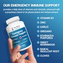 dr-berg-emergency-immune-support-wechina-6.jpg