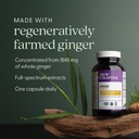 new-chapter-ginger-supplement-force-with-3.jpg