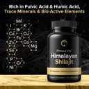 shilajit-capsules-high-strength-purified-5.jpg