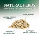 adrenal-support-supplements-cortex-compl-5.jpg