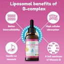 nuvamin-liquid-liposomal-b-complex-drops-2.jpg