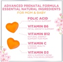 prenatal-vitamin-gummies---essential-nut-3.jpg