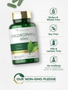 carlyle-chlorophyll-pills-90-capsules-na-4.jpg