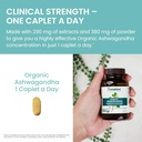 himalaya-organic-ashwagandha-120-day-sup-6.jpg