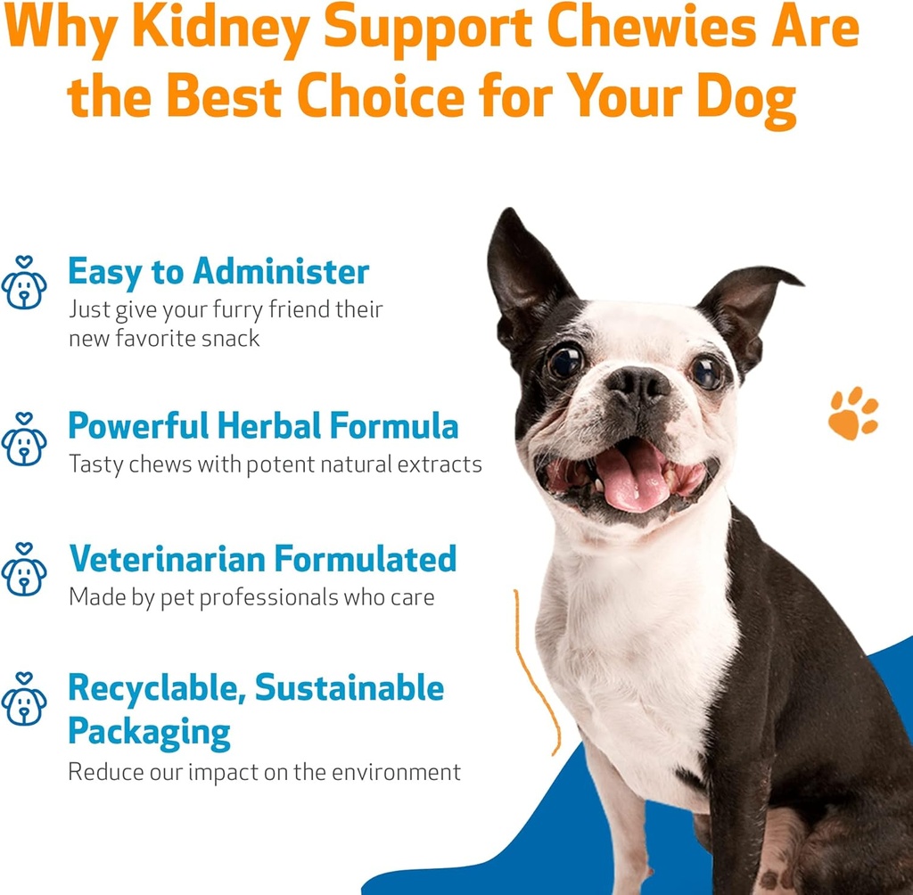 pet-wellbeing-kidney-support-chewies-for-4.jpg