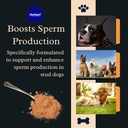canine-sperm-enhancer-supplement-advance-2.jpg