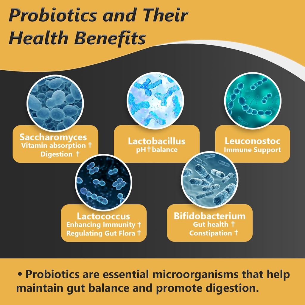 probiotics-with-prebiotics-for-men-and-w-4.jpg
