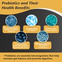 probiotics-with-prebiotics-for-men-and-w-4.jpg