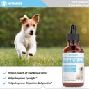 puppy-vitamins-puppy-supplements-puppy-v-5.jpg