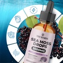 trueseamoss-irish-sea-moss-drops---5x-st-6.jpg