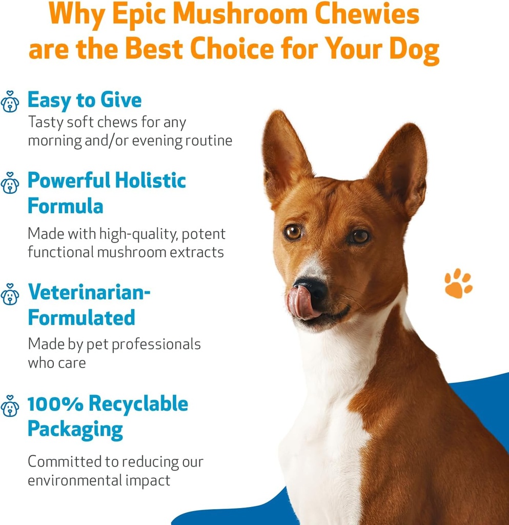 pet-wellbeing-epic-mushroom-chewies-for--4.jpg