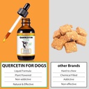 quercetin-for-dogs-dogs-quercetin-supple-2.jpg