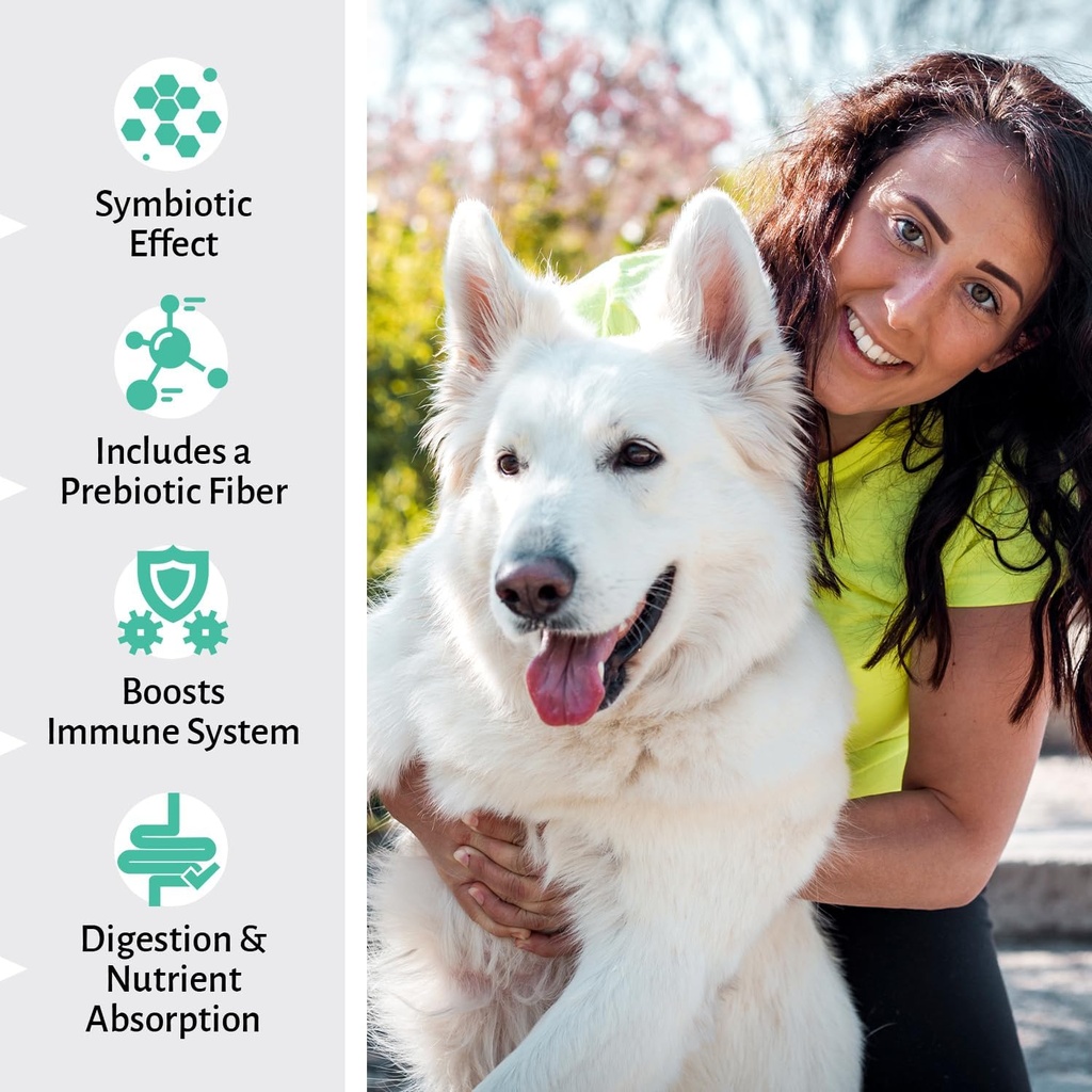 healthy-bite-probiotic-for-dogs---dog-pr-4.jpg
