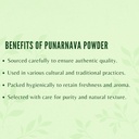 punarnava-powder-200-gm-i-boerhavia-diff-6.jpg