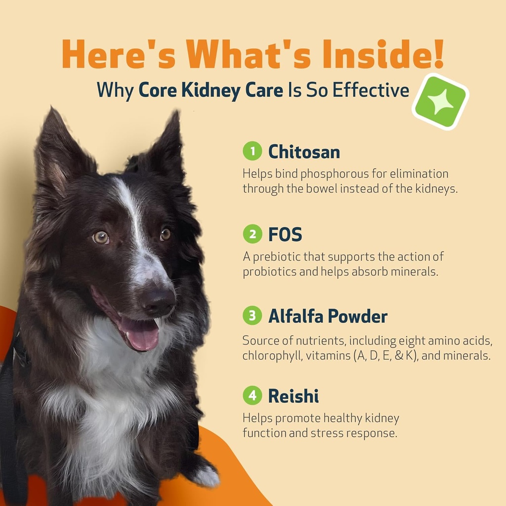 pet-wellbeing-core-kidney-care-for-dogs--5.jpg